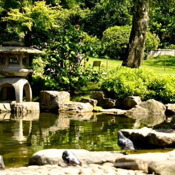 London, Holland Park, Kyoto Garden