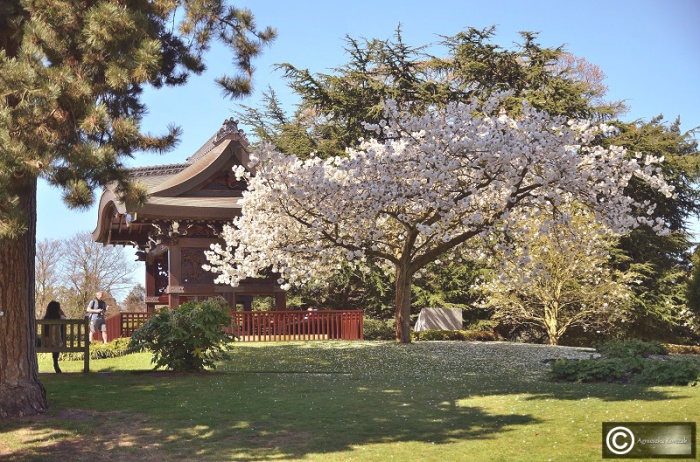 Kew Gardens, Japanase Gateway